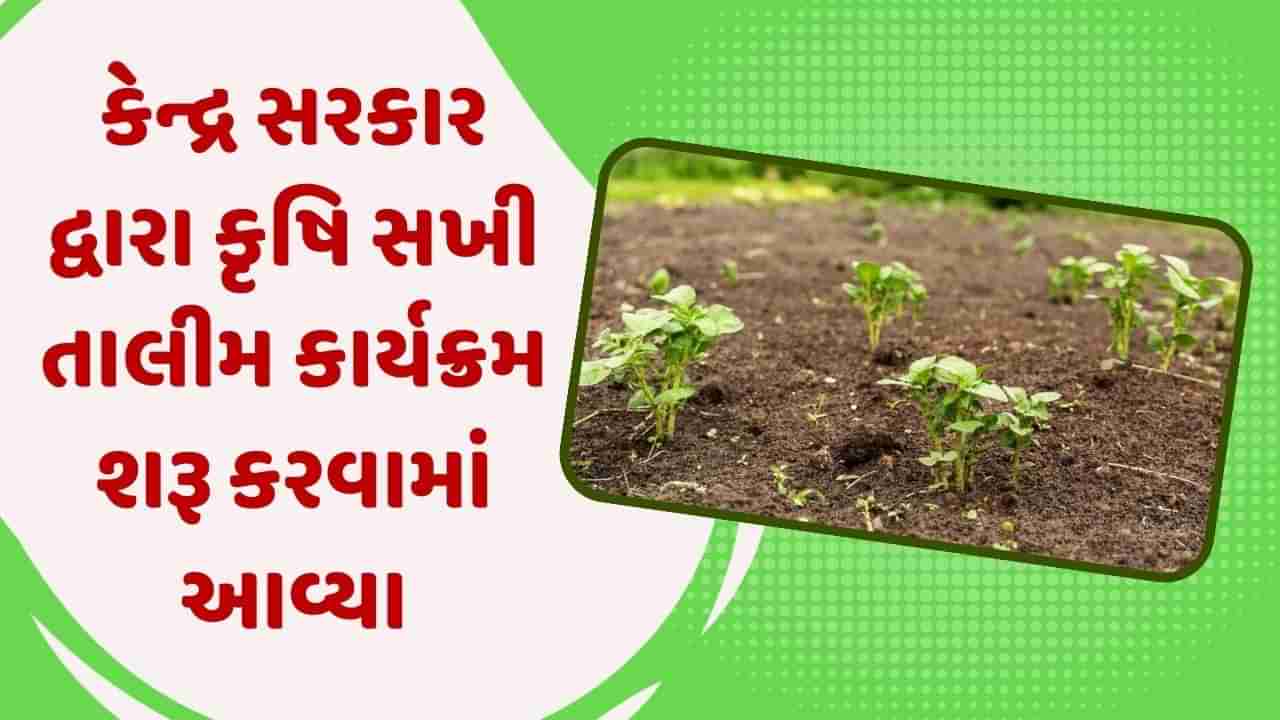 કેન્દ્ર સરકાર દ્વારા કૃષિ સખી તાલીમ કાર્યક્રમ શરૂ કરવામાં આવ્યા, ખેડૂતોને શીખવવામાં આવશે પ્રાકૃતિક ખેતીની પદ્ધતિઓ