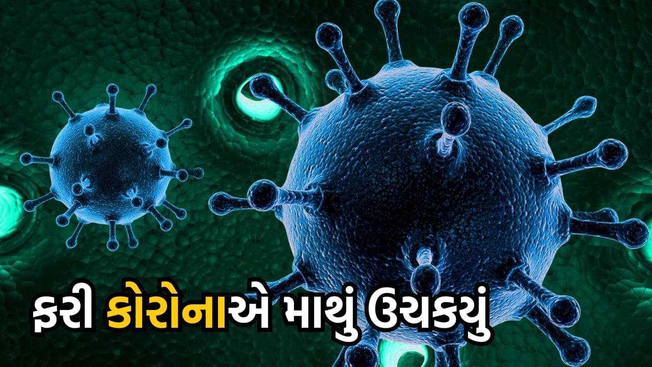 રાજયમાં ફરી કોરોનાએ માથું ઉચકયું, વલસાડ સિવિલમાં કોરોનાનો એક કેસ નોંધાયો