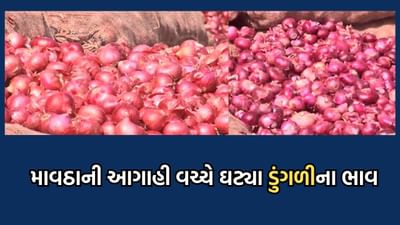 ભાવનગર: ડુંગળીના ભાવમાં થયો ઘટાડો, હોલસેલ બજારમાં બોલાયા 35થી 40 રૂપિયા પ્રતિકિલો- જુઓ વીડિયો