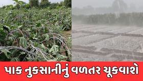 પાક નુકસાની મુજબ ખેડૂતોને વળતર ચૂકવાશે, મંત્રી બચુ ખાબડનું નિવેદન પાક નુકસાની મુજબ ખેડૂતોને વળતર ચૂકવાશે, મંત્રી બચુ ખાબડનું નિવેદન