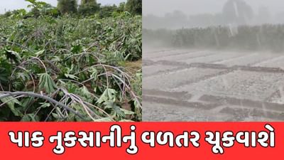 પંચમહાલ : પાક નુકસાની મુજબ ખેડૂતોને વળતર ચૂકવાશે, મંત્રી બચુ ખાબડનું નિવેદન
