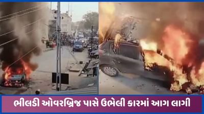 ડીસા નજીક કારમાં લાગી આગ, બળીને ખાખ થઈ ગઈ, ફાયર ટીમે મેળવ્યો કાબૂ, જુઓ