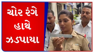 ATMમાંથી પૈસા ચોરી કરવા બે ચોરે અપનાવ્યો હતો નવો કિમીયો, આખરે પોલીસ દ્વારા રંગે હાથ ઝડપાયા