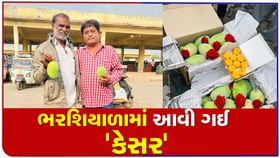 પોરબંદર માર્કેટિંગ યાર્ડમાં ભર શિયાળે કેસર કેરીનું થયુ આગમન-જુઓ વીડિયો પોરબંદર માર્કેટિંગ યાર્ડમાં ભર શિયાળે કેસર કેરીનું થયુ આગમન-જુઓ વીડિયો