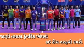 તમારા ફેવરિટ પ્લેયરો કઈ ટીમ તરફથી રમશે, જાણો દરેકના નામ તમારા ફેવરિટ પ્લેયરો કઈ ટીમ તરફથી રમશે, જાણો દરેકના નામ