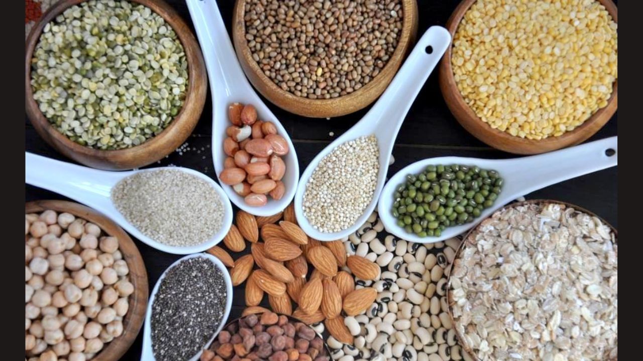 પોષક તત્વોથી ભરપૂર આ 5 કઠોળ, શાકાહારી લોકો માટે બેસ્ટ પ્રોટીન સોર્સ