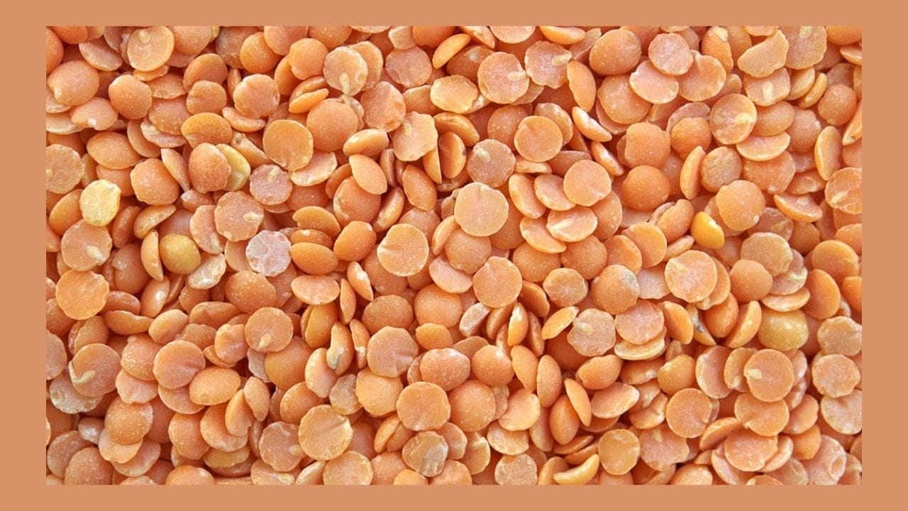 મસૂર દાળ- મસૂર દાળને લાલ દાળ કહેવામાં આવે છે. તે પૌષ્ટિક અને પ્રોટીનથી ભરપૂર દાળ છે. લોકો તેને ભાત સાથે ખાવાનું પસંદ કરે છે અને તેમાં આયર્ન, પ્રોટીન, ફાઈબર, વિટામિન સી, બી6, બી2, ફોલિક એસિડ, કેલ્શિયમ, ઝિંક, મેગ્નેશિયમ જેવી વસ્તુઓ મળે છે.