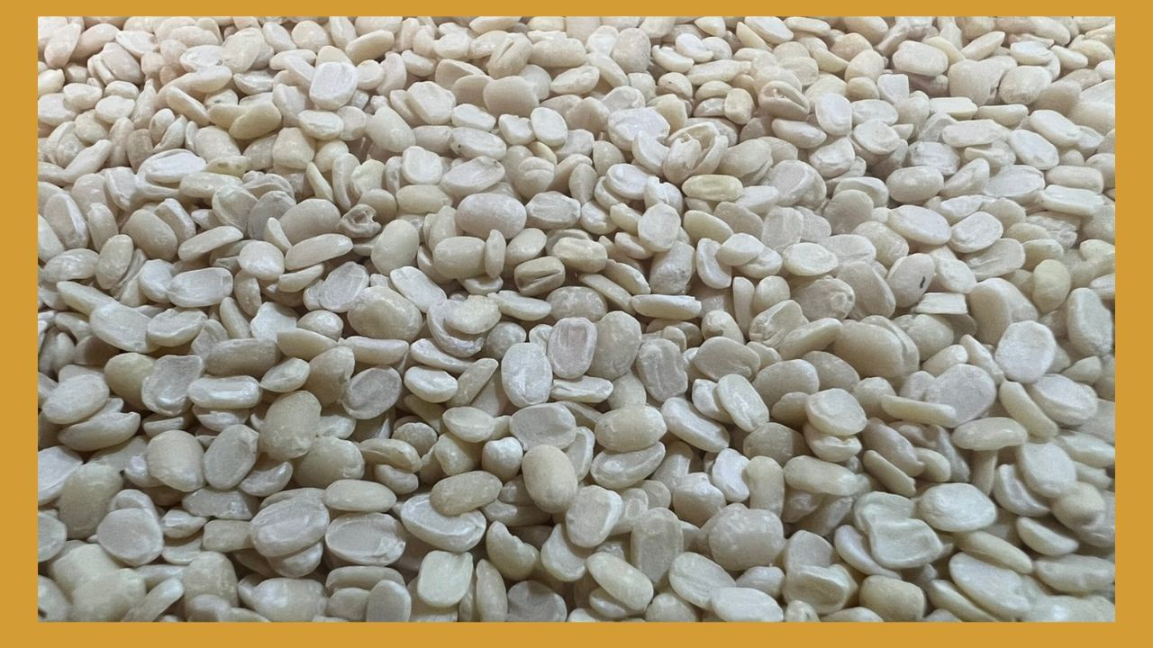 અડદની દાળ- અળદની દાળ પચવામાં થોડી ભારે છે, પરંતુ તેમા ફેટ અને કેલરી ઘણી ઓછી હોય છે. તેને ખાવાથી હૃદય, નર્વસ સિસ્ટમ અને હાડકાં મજબૂત થઈ શકે છે.