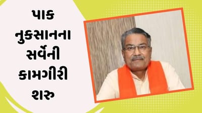 ગુજરાતમાં આફત બાદ પાક નુકસાનના સર્વેની કામગીરી શરુ, જલ્દી જ ચુકવાશે ખેડૂતોને સહાય, જુઓ વીડિયો