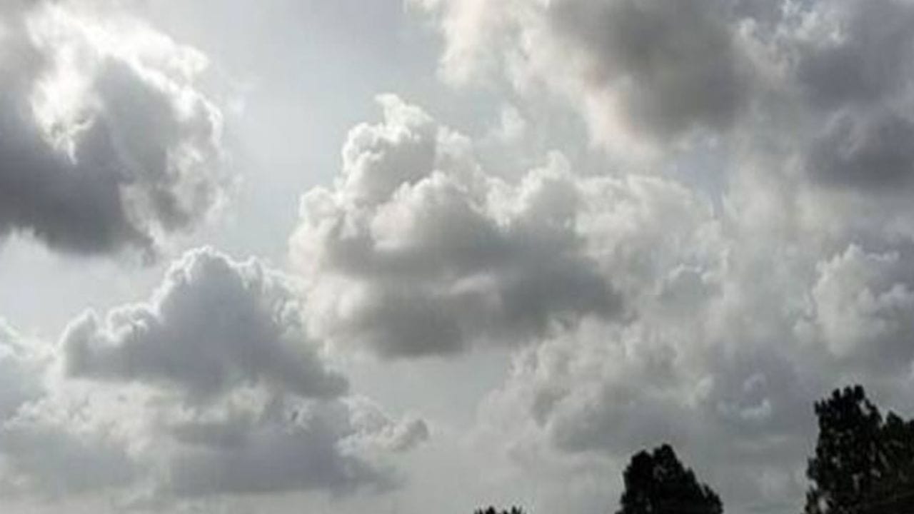 સમગ્ર રાજ્યમાં આગામી 5 દિવસ વાદળછાયું વાતાવરણ રહેશે. 5 દિવસ સુધી આ જ પ્રકારે ઠંડીનો ચમકારો રહેવાની હવામાન વિભાગે  આગાહી કરી છે.

