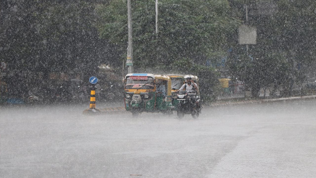 હવામાન વિભાગે આપેલી માહિતી અનુસાર ડાંગ, દાહોદ સહિતના વિસ્તારોમાં સામાન્ય વરસાદ વરસશે.
