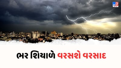 ભર શિયાળામાં જામશે મેઘરાજાની જમાવટ ! 25 અને 26 નવેમ્બરે ભારે વરસાદ આગાહી, જુઓ વીડિયો