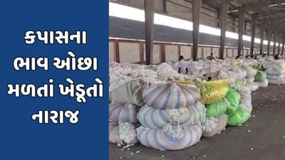 રાજકોટમાં લાભ પાંચમ બાદ ફરી માર્કેટિંગ યાર્ડ શરૂ, કપાસના ભાવ ઓછા મળતાં ખેડૂતો નારાજ