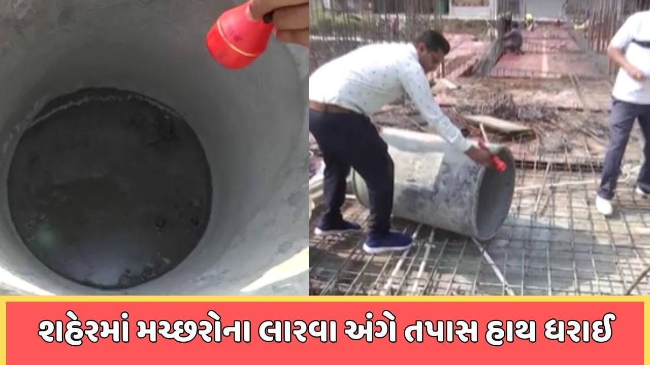 રાજકોટ વીડિયો: શહેરમાં મચ્છરોના લારવા અંગે પાલિકાની 36 ટીમે હાથ ધરી તપાસ, લોકોને સફાઇ રાખવા કરી અપીલ