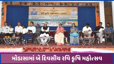 મોડાસામાં પ્રધાને રવિ કૃષિ મહોત્સવનો પ્રારંભ કરાવ્યો, જિલ્લામાં વાવેતરના પ્રમાણમાં થયો વધારો