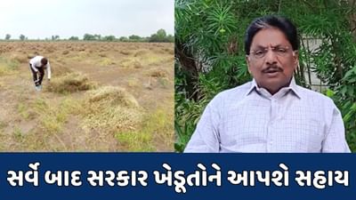 માવઠા બાદ નુકસાનને લઈને સરકાર ચિંતિત, સર્વે બાદ અપાશે સહાય