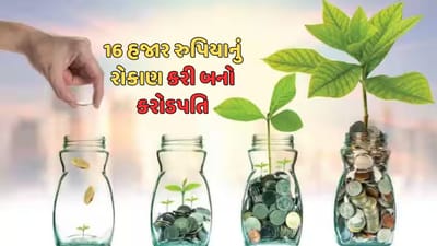 સબકા સપના મની મની: 16 હજાર રુપિયાનું રોકાણ કરીને તમે માત્ર 17 વર્ષમાં બની શકો છો કરોડપતિ, જાણો ક્યા રોકાણ કરવુ
