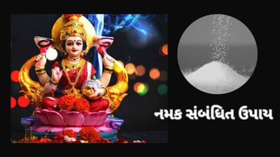 ધનતેરસ 2023 : ધનતેરસના દિવસે કરો નમકનો આ ચમત્કારીક ઉપાય, ધનની દેવી લક્ષ્મી થશે મહેરબાન