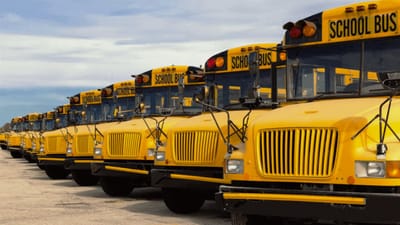 તમે રસ્તા પર અલગ અલગ રંગના વાહનો દોડતા જોયા હશે. જેમાં તમે સ્કૂલ બસને માત્ર પીળા રંગમાં જ જોઈ હશે. પીળા રંગની સ્કૂલ બસો માત્ર ભારતમાં જ નહીં, પરંતુ વિશ્વના મોટાભાગના દેશોમાં છે. 