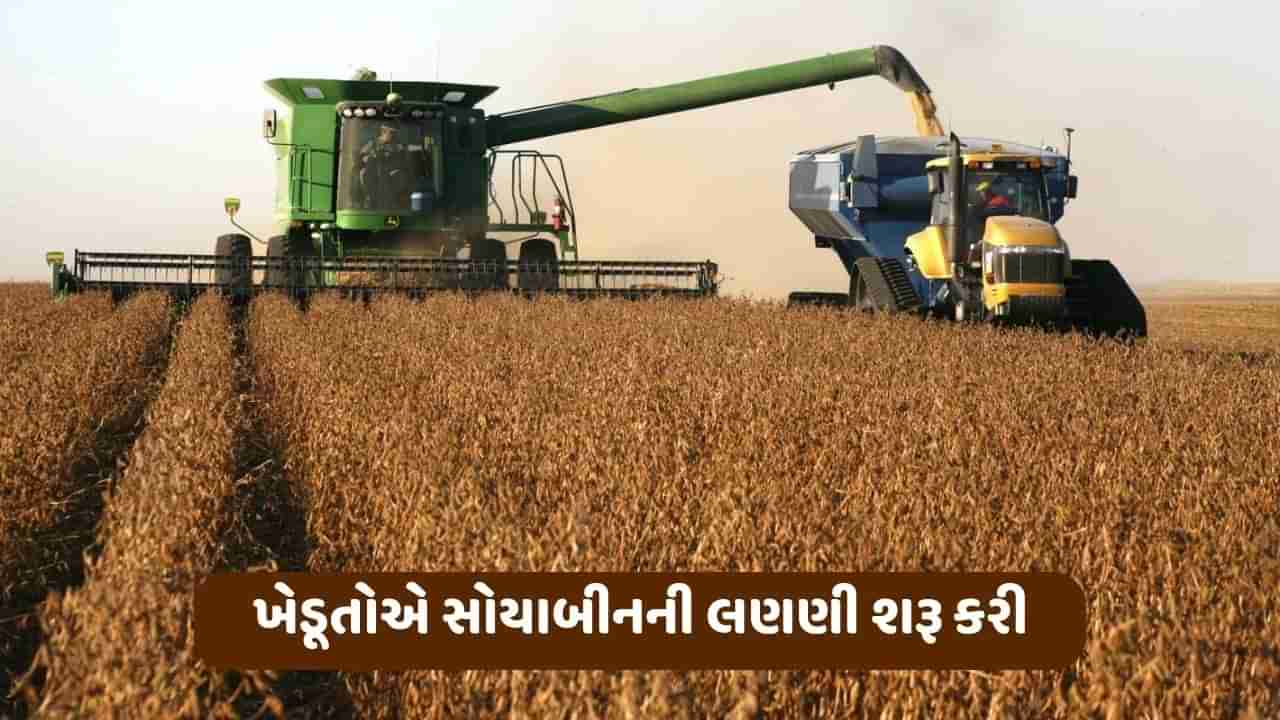 આયોવામાં ખેડૂતોએ સોયાબીનના પાકની લણણી શરૂ કરી, કૃષિ વિભાગ દ્વારા ખેતી કાર્યો કરવા માટે આપવામાં આવી સલાહ