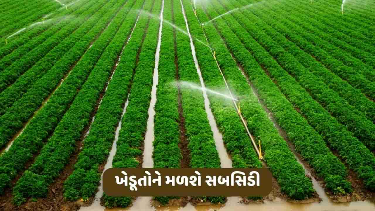 ટપક સિંચાઈ અને સ્પ્રિંકલર સિંચાઈ પર ખેડૂતોને મળશે સબસિડી, જાણો આ યોજના વિશે વિગતવાર માહિતી