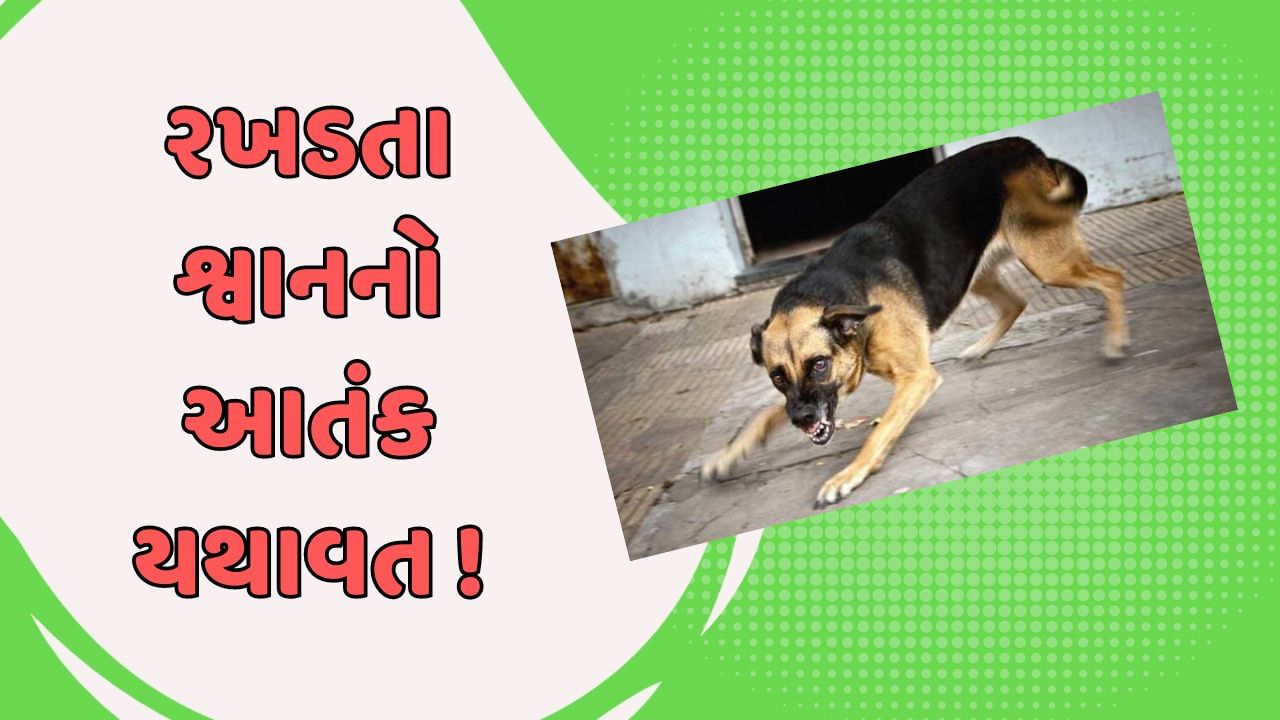 રાજકોટ વીડિયો જંગલેશ્વર વિસ્તારમાં ચાર વર્ષની બાળકી પર 7 કરતા વધારે