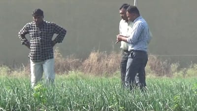 ખેડૂતો માટે સારા સમાચાર, કમોસમી વરસાદ બાદ આ જિલ્લામાં શરૂ કરાયો સર્વે