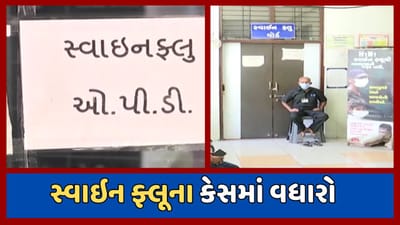 શિયાળાની ઠંડક વચ્ચે ગુજરાતમાં સ્વાઇન ફ્લૂ વકર્યો, નવા 41 કેસ નોંધાયા, જુઓ વીડિયો