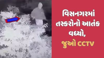 વિસનગરમાં તસ્કરોથી સ્થાનિકોમાં ફફડાટ,રુ 4.53 લાખની મત્તાની ચોરી, જુઓ CCTV વીડિયો