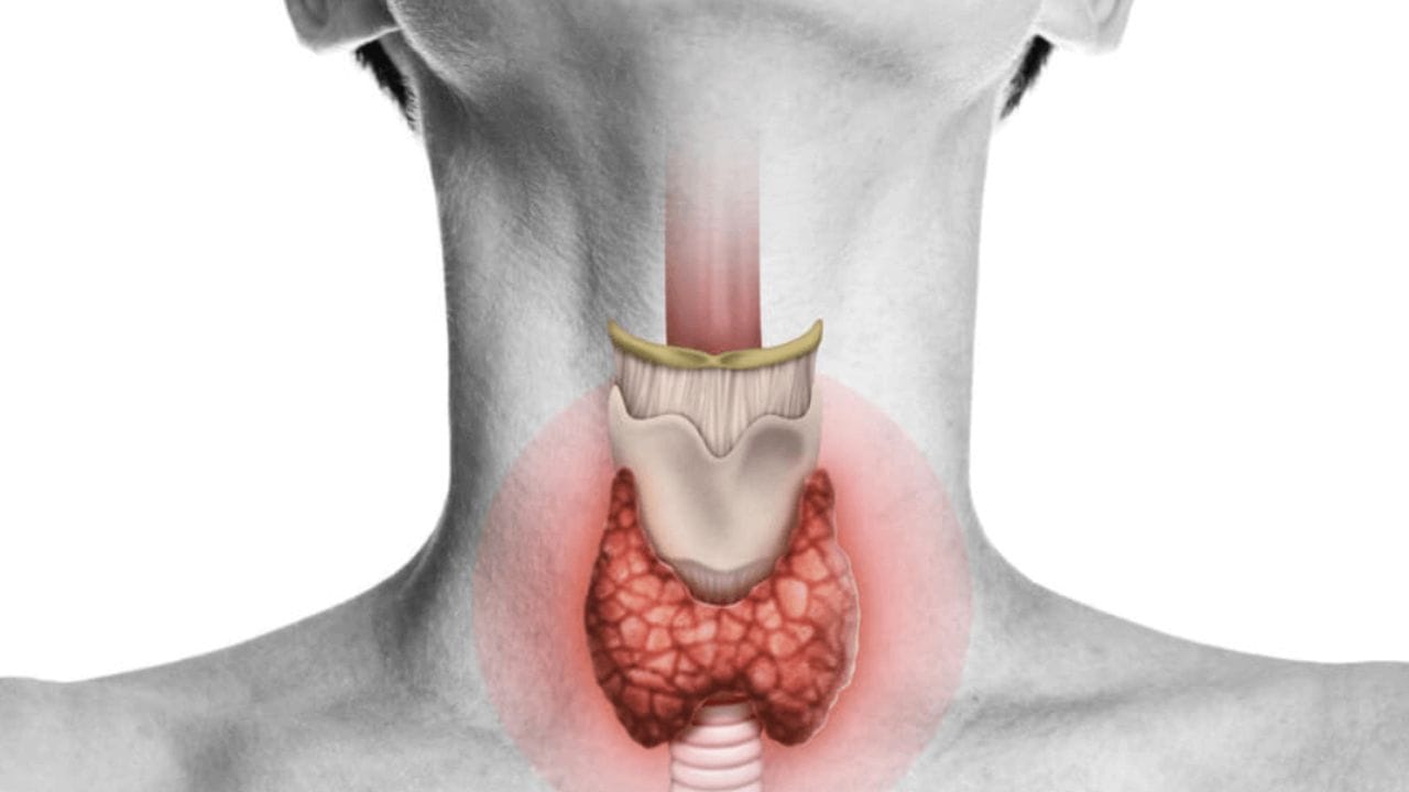 થાઇરોઇડ રોગ શા માટે થાય છે?-જ્યારે તમારા શરીરમાં હાજર થાઈરોઈડ ગ્રંથિના કાર્યમાં ઘટાડો થાય છે, ત્યારે થાઈરોઈડ રોગ થાય છે. આજકાલ મહિલાઓમાં આ રોગ ખૂબ જ ઝડપથી ફેલાઈ રહ્યો છે. થાઈરોઈડ ગ્રંથિની કાર્યક્ષમતા ઘટવા ઉપરાંત આહારમાં આયોડીનની ઉણપને કારણે પણ આ રોગ થાય છે. આવી સ્થિતિમાં આયોડીનની ઉણપ પર પણ ધ્યાન આપવું જોઇએ.-નોંધ :સ્વાસ્થ્ય સંબંધીત કંઇ પણ અનુસરતા પહેલા આપ આપના તબીબ અથવા તજજ્ઞોની સલાહ ખાસ લેવી.