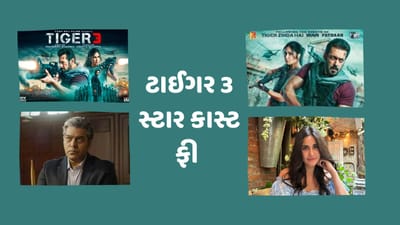 ટાઈગર અને જોયાને ફરી એકવાર મોટા પડાદા પર જોવા માટે ચાહકો આતુર છે.ચાહકોની  આ રાહ 12 નવેમ્બરના રોજ પુરી થશે. સલમાન ખાન ફિલ્મ ટાઈગર 3 દિવાળી પર લઈને આવી રહ્યો છે. જેમાં ફરી એક વખત કેટરિના તેની સાથે જોવા મળશે. આ ફિલ્મને રિલીઝ થવામાં બસ હવે ગણતરીના દિવસો જ બાકી રહ્યા છે.