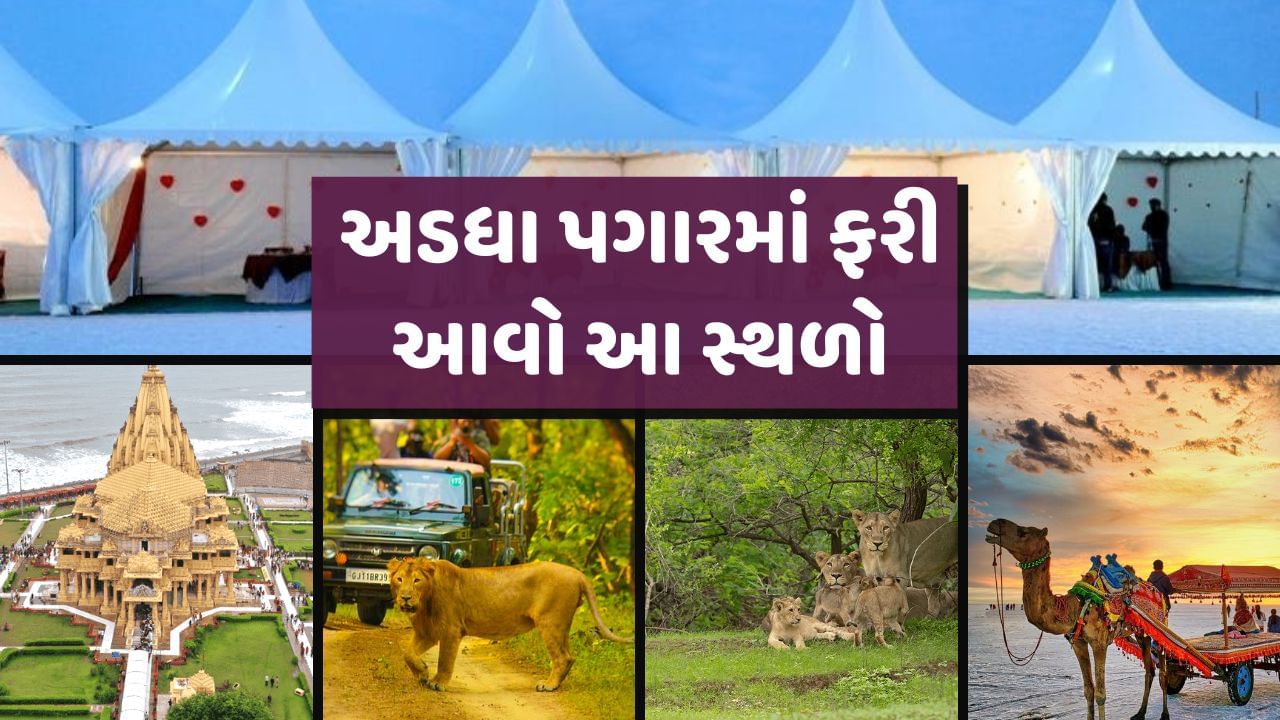 નવેમ્બર મહિનો તહેવારો સાથે શરૂ થયો છે. આ મહિનામાં દિવાળીનો તહેવાર પણ આવે છે. ત્યારે નવેમ્બર મહિનામાં તહેવારોની રજાઓ સહિત બે લાંબા વીકએન્ડ છે. તમે આ મહિને રજાઓનો પૂરો લાભ લઈ શકો છો. જો તમે પરિવાર અથવા મિત્રો સાથે થોડો આરામ અને યાદગાર સમય પસાર કરવા માંગતા હો તો પછી આ સ્થળે જવાનો પ્લાન બનાવો.