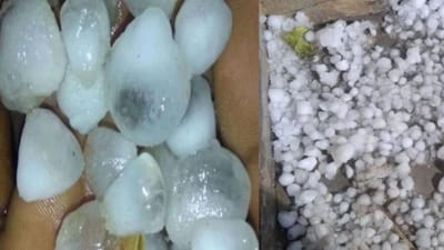 બનાસકાંઠાના ગ્રામ્ય વિસ્તારોમાં કરા સાથે તુટી પડ્યો કમોસમી વરસાદ, જુઓ વીડિયો બનાસકાંઠાના ગ્રામ્ય વિસ્તારોમાં કરા સાથે તુટી પડ્યો કમોસમી વરસાદ, જુઓ વીડિયો