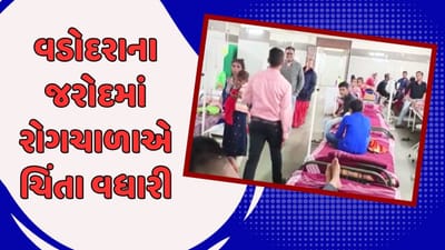 વડોદરાના જરોદમાં વધતા રોગચાળા મુદ્દે આરોગ્ય વિભાગ એક્શનમાં, 77 દર્દી હાલ સારવાર હેઠળ, જુઓ વીડિયો