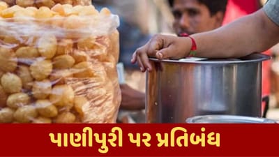 વીડિયો : વડોદરાના આ વિસ્તારમાં નહીં મળે પાણીપુરી, જાણો શું છે કારણ