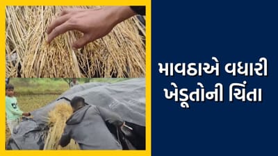 વલસાડમાં માવઠાએ વધારી ખેડૂતોની ચિંતા, વિવિધ શાકભાજીમાં જીવાત પડવાની ભીતિ