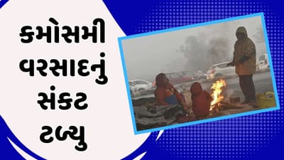 વીડિયો : ગુજરાતમાં કમોસમી વરસાદનું સંકટ ટળ્યુ, ઠંડીનો ચમકારો વધ્યો, કેટલાક વિસ્તારમાં જ પડશે છૂટોછવાયો વરસાદ વીડિયો : ગુજરાતમાં કમોસમી વરસાદનું સંકટ ટળ્યુ, ઠંડીનો ચમકારો વધ્યો, કેટલાક વિસ્તારમાં જ પડશે છૂટોછવાયો વરસાદ