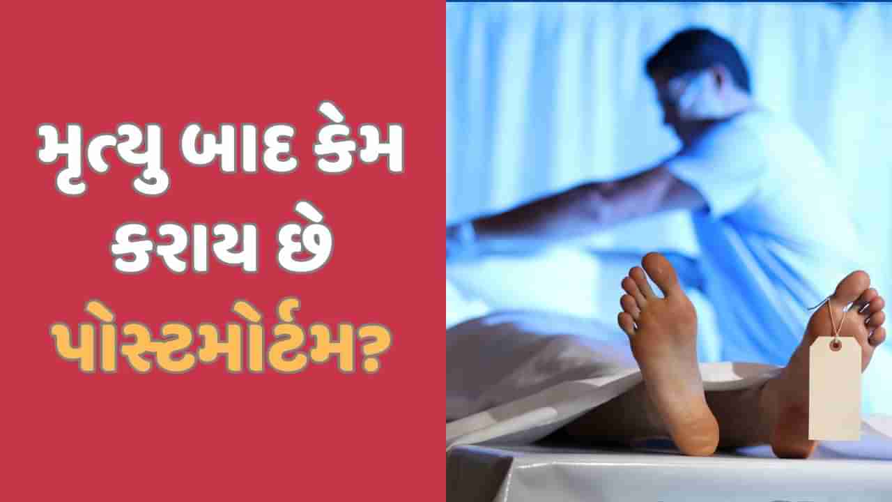 પોસ્ટમોર્ટમ કેમ કરવામાં આવે છે? ડેડ બોડી સાથે શું શું કરવામાં આવે છે, જાણો