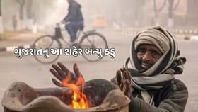ગુજરાતનું આ શહેર રહ્યું સૌથી ઠંડુ ગુજરાતનું આ શહેર રહ્યું સૌથી ઠંડુ