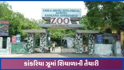કાંકરિયા ઝૂમાં ઠંડીને લઈ વિશેષ વ્યવસ્થા કરાઈ, હાથીને માટે શિળાયાના વસાણા, જુઓ