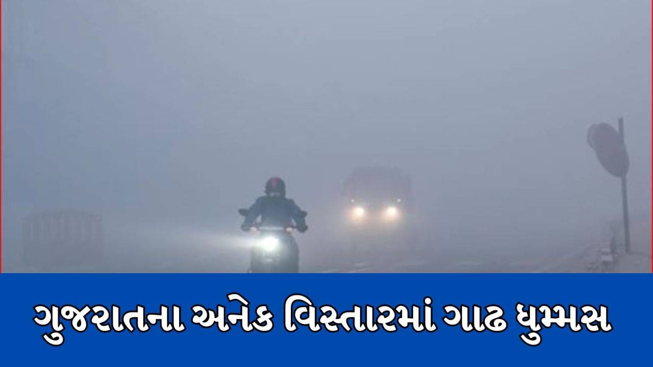 ગુજરાતના અનેક શહેરમાં વહેલી સવારથી ધુમ્મસનું સામ્રાજ્ય, ખેડૂતો પાકને લઇને ચિંતામાં મુકાયા, જુઓ વીડિયો