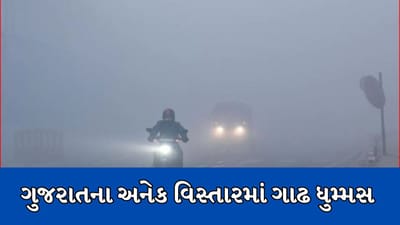 ગુજરાતના અનેક શહેરમાં વહેલી સવારથી ધુમ્મસનું સામ્રાજ્ય, ખેડૂતો પાકને લઇને ચિંતામાં મુકાયા, જુઓ વીડિયો ગુજરાતના અનેક શહેરમાં વહેલી સવારથી ધુમ્મસનું સામ્રાજ્ય, ખેડૂતો પાકને લઇને ચિંતામાં મુકાયા, જુઓ વીડિયો