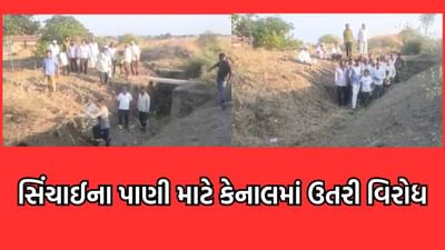 અમરેલી: બાબરાના 4 ગામના ખેડૂતોએ કર્યો વિરોધ, શિયાળુ પાક માટે સિંચાઈનું પાણી આપવા માગ- વીડિયો