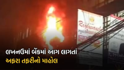લખનઉમાં કેનેરા બેંકમાં ભભૂકી ઉઠી ભીષણ આગ, કર્મચારીઓ બિલ્ડીંગ પરથી કૂદી પડ્યા, જુઓ વીડિયો