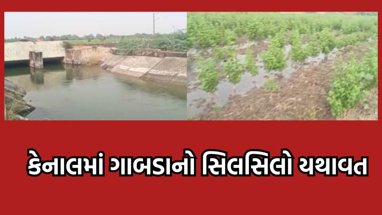 વિરમગામમાં ભોજવા ગામ નજીકથી પસાર થતી કેનાલમાં મસમોટુ ગાબડુ, ખેતરમાં ફરી વળ્યુ પાણી- વીડિયો