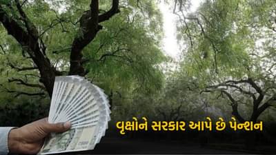 અહીં વૃક્ષોને પેન્શન આપી રહી છે સરકાર, જમીન માલિકોના ખાતામાં રૂપિયા 2,570 થયા જમા