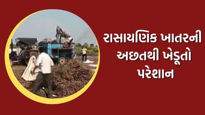 જુનાગઢમાં રાસાયણિક ખાતરની અછત સર્જાતા ખેડૂતોને હાલાકી, કૃષિમંત્રીને લખ્યો પત્ર- વીડિયો