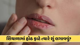 શિયાળામાં ફાટતા હોઠથી છો પરેશાન તો અપનાવો આ ઘરેલું ઉપચાર, જાણો અહીં શિયાળામાં ફાટતા હોઠથી છો પરેશાન તો અપનાવો આ ઘરેલું ઉપચાર, જાણો અહીં