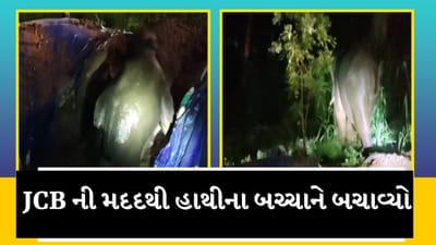 તમિલનાડુના કોઈમ્બતુર તળાવમાં ફસાયુ હાથીનું બચ્ચું, વન વિભાગની ટીમે કર્યું રેસ્ક્યૂ, જુઓ વીડિયો