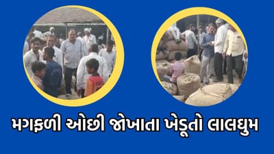 ગીરસોમનાથ: નાળિયેરી મોલી ગામે ખેડૂતોનો હોબાળો, મગફળી જોખવાના વજન કાંટામાં ઠગાઈનો આરોપ- વીડિયો